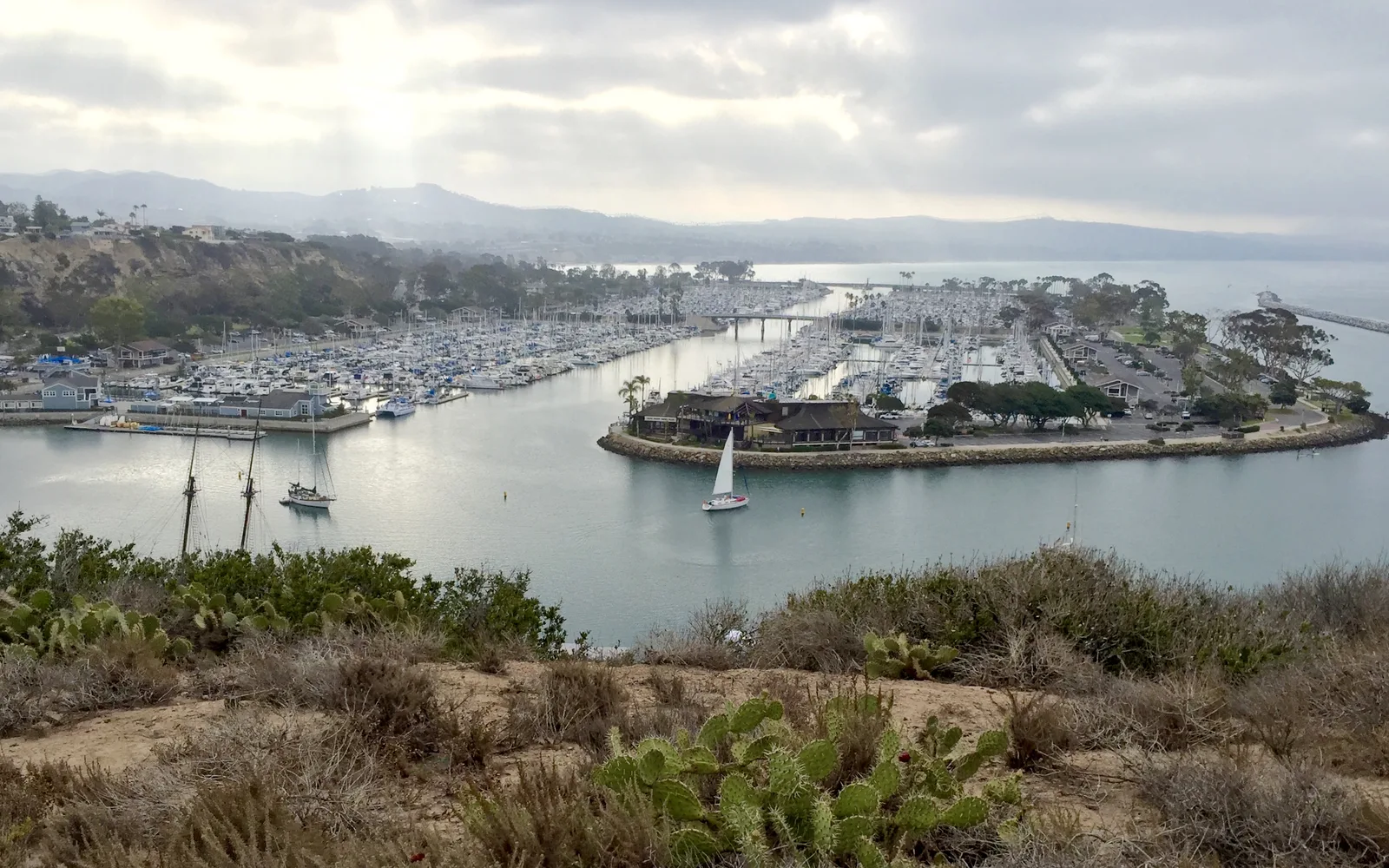 Dana Point Harbor and headlands viewed from Harbor Point Conservation Park with coastal bluffs